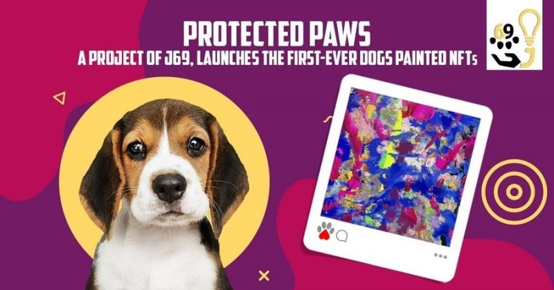 J69_Protected_Paws.jpg